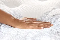 Perfect Sleeper Calming Nights Plush Mattress Set