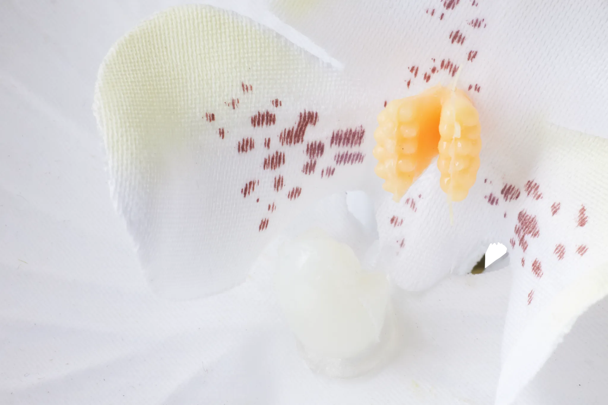 Potted Glass 22" Orchid