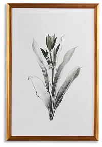 Apolline Gray Canvas Wall Art