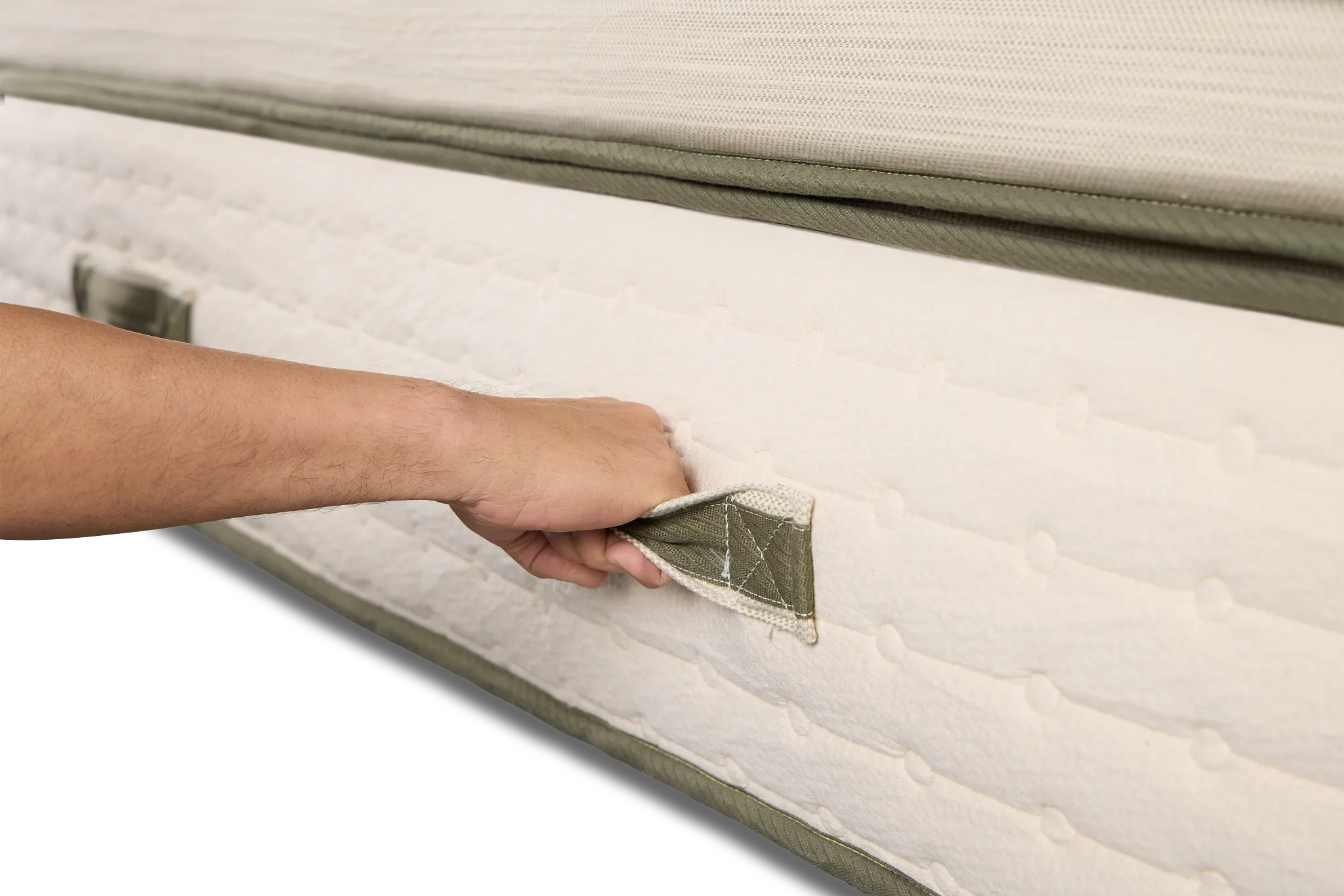 Avocado Green 15.50" Plush Box Top Mattress