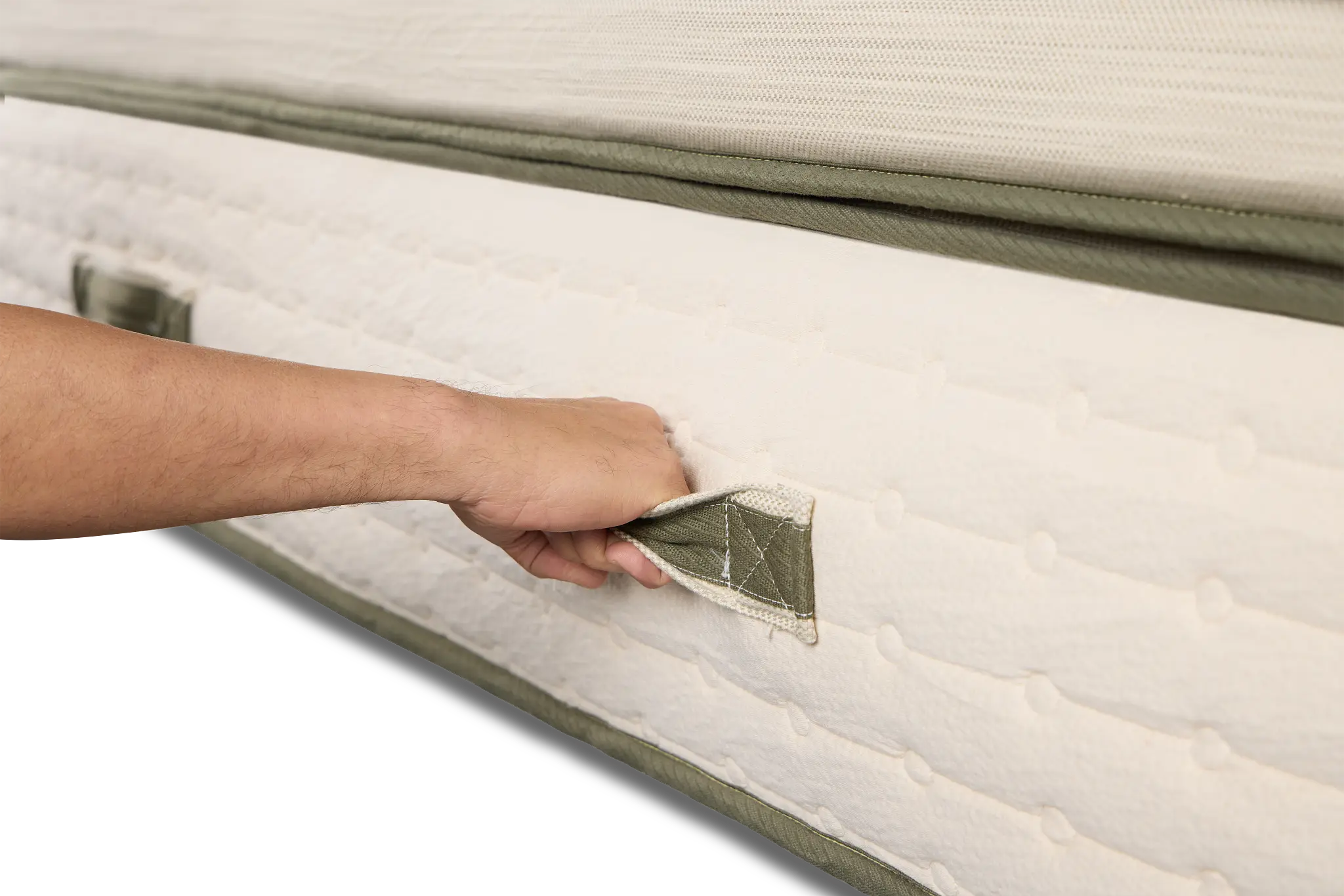 Avocado Green 15.50" Plush Box Top Mattress Avocado Green 15.50" Plush Box Top Mattress