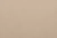 Reyna Beige Micro Power Recliner