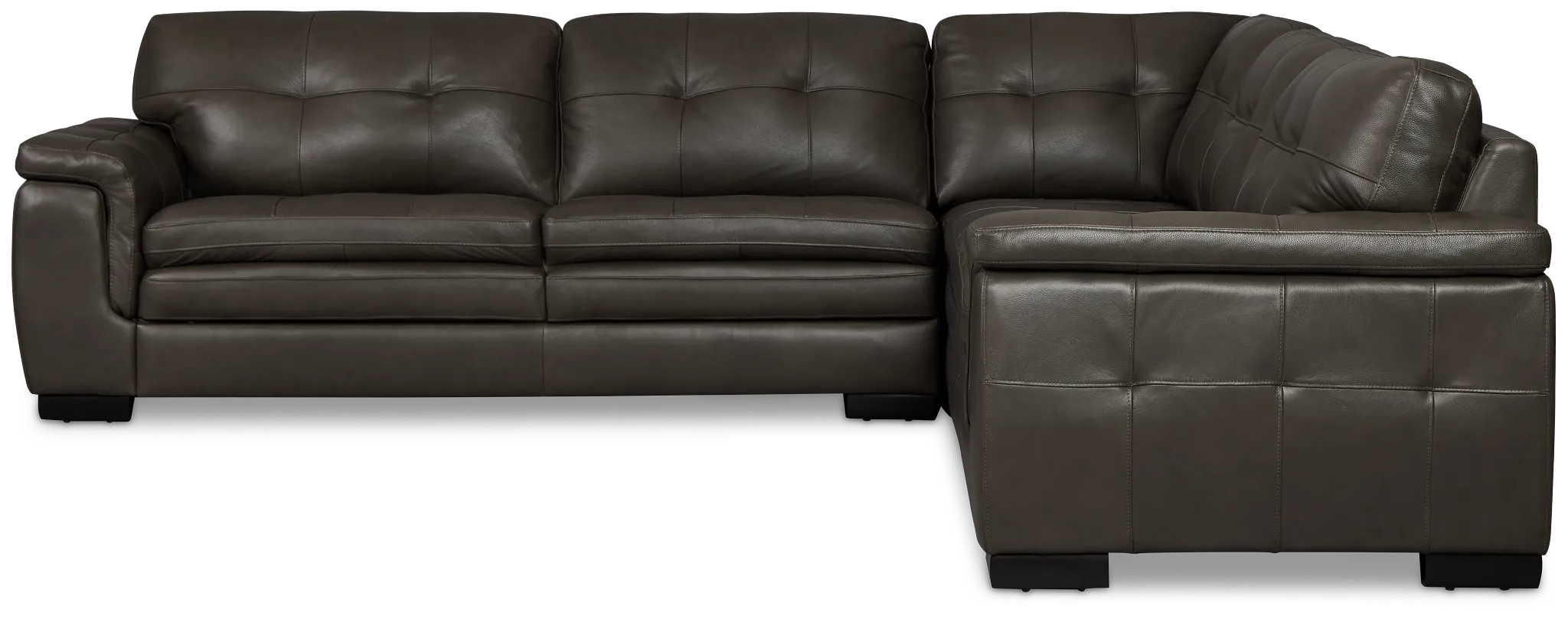 Braden Dark Gray Leather Small Two-arm Sectional