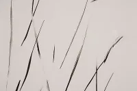 Sela Ivory Framed Wall Art