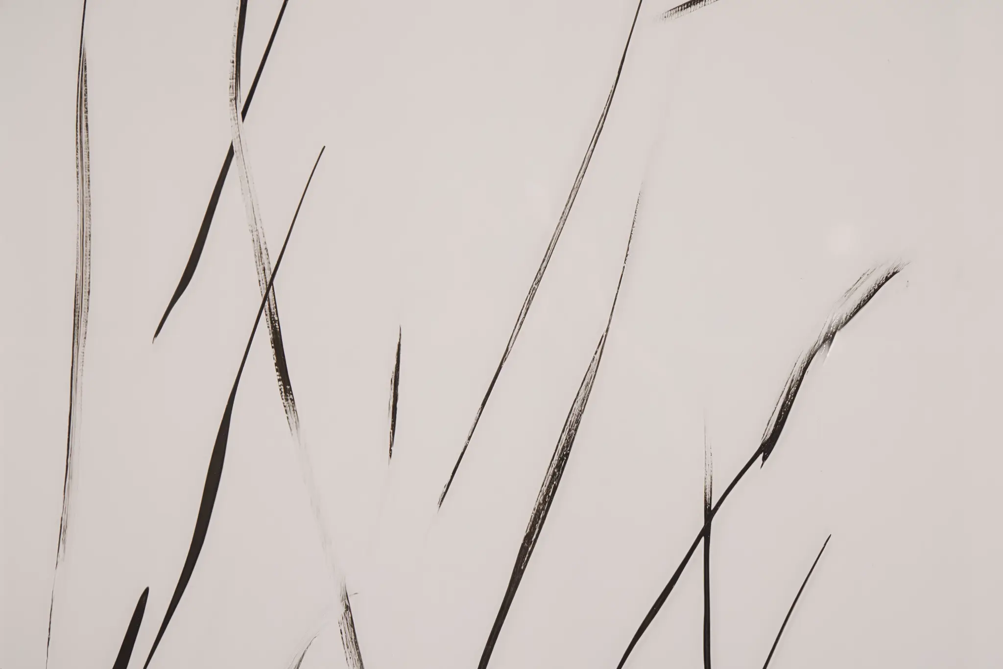 Sela Ivory Framed Wall Art Sela Ivory Framed Wall Art