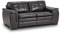 Braden Dark Brown Leather Loveseat