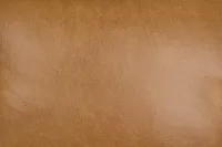 Cassian Brown Leather Accent Chair