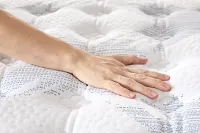 Perfect Sleeper Bay City Extra Firm Low-profile Mattress Set