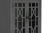 Alexis Gray Two-door Cabinet