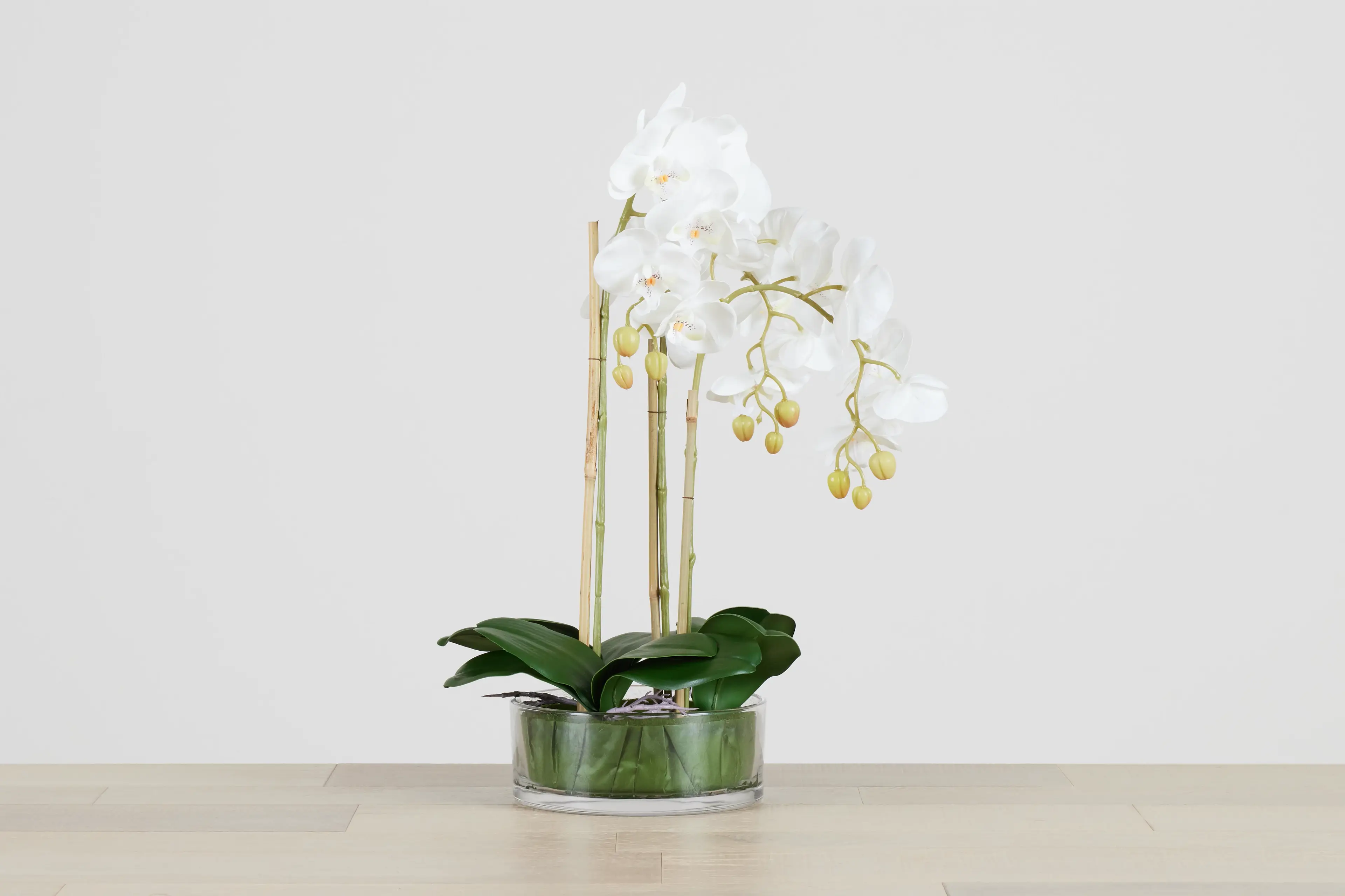 Spring Renewal: Discover City Furniture's Modern and Realistic Faux Florals & Greenery Collection