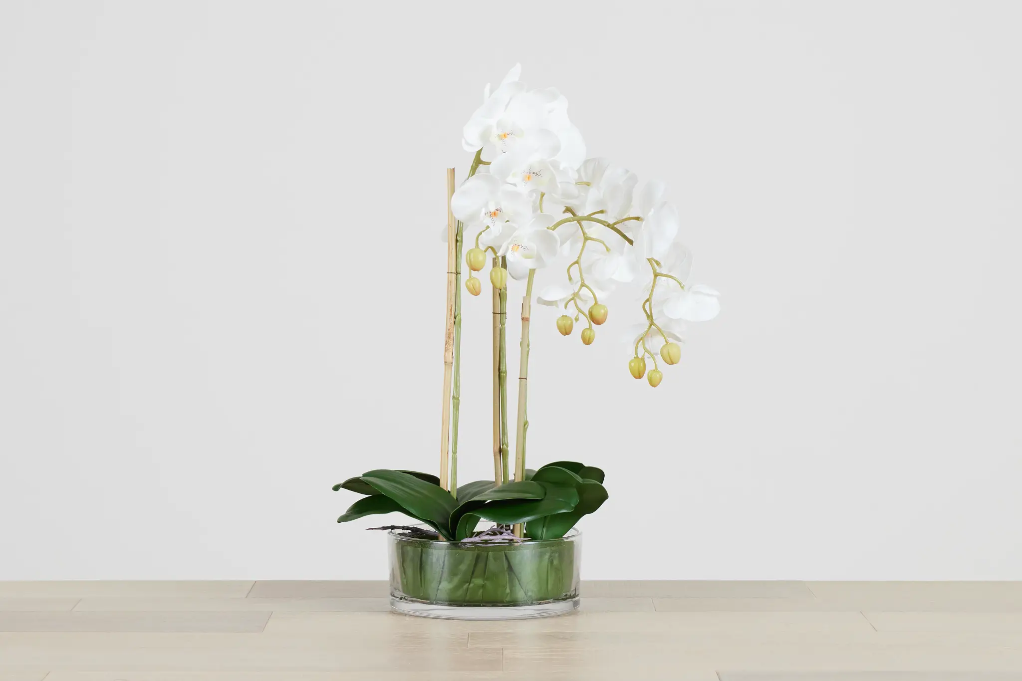 Spring Renewal: Discover City Furniture's Modern and Realistic Faux Florals & Greenery Collection