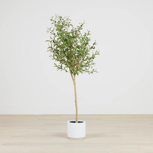 Oliver Green 5' Tree