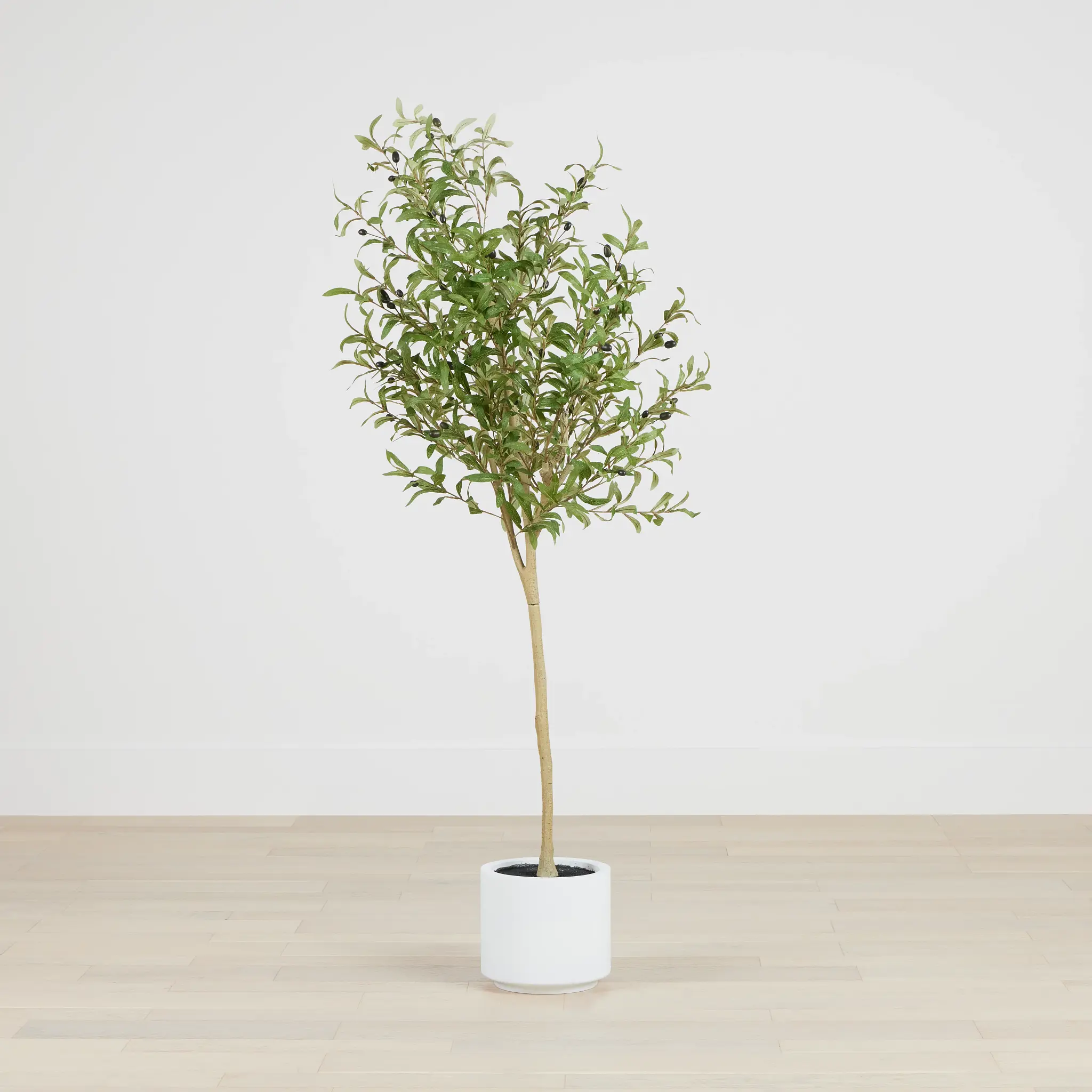 Oliver Green 5' Tree Oliver Green 5' Tree