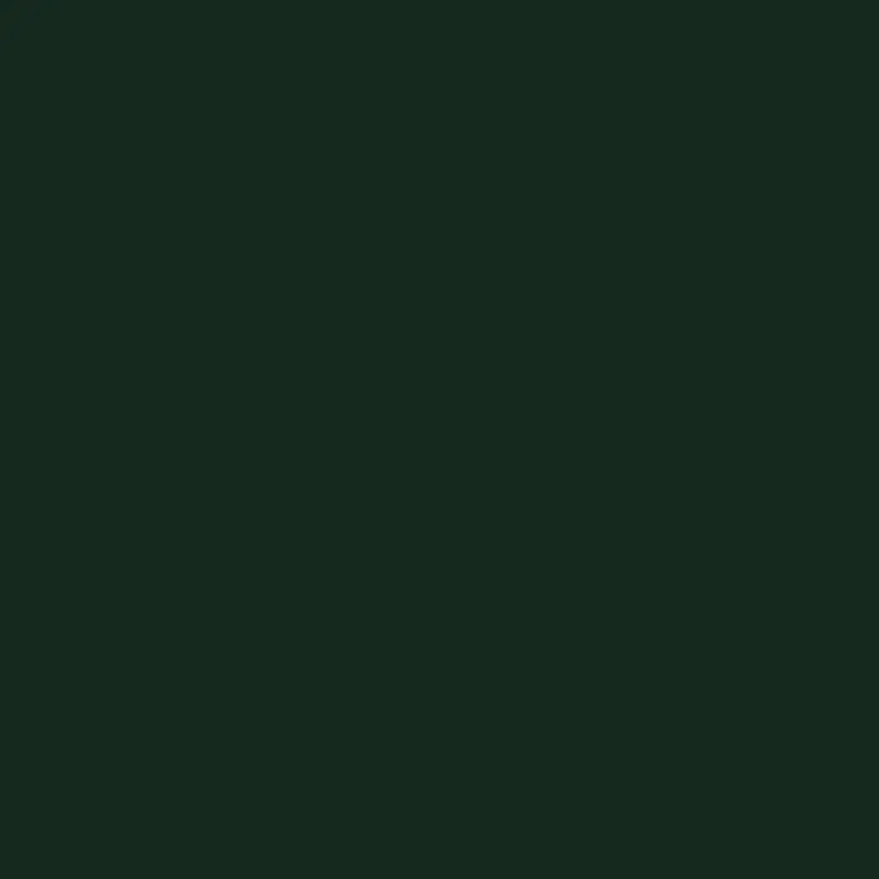 DARK GREEN Royale Dark Green 20" Accent Pillow