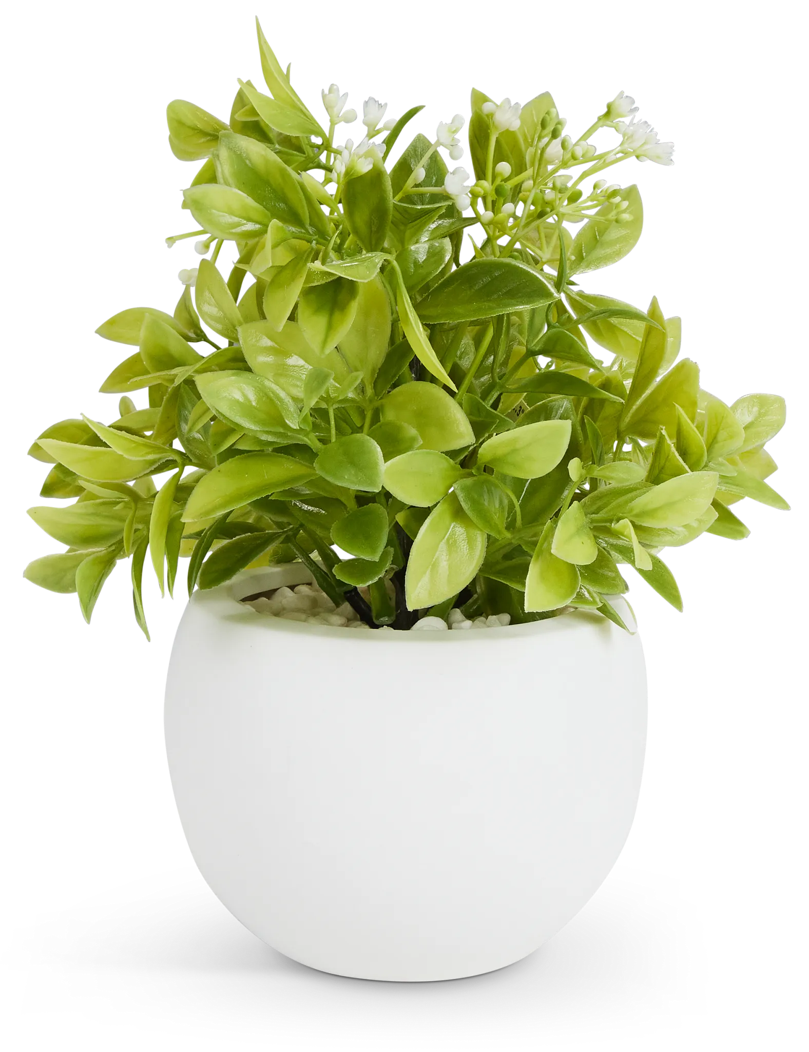 Evergreen Leaf 10.5" Greenery
