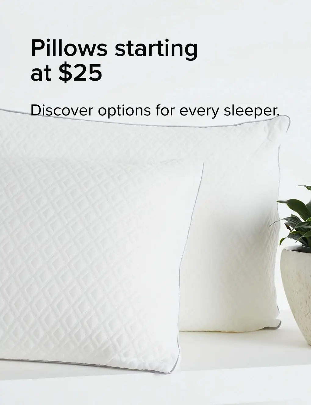 MAR13469-2525-0619-Pillows-HP-ECB-XLG.jpg