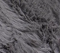 Kaycee Dark Gray 4x6 Area Rug