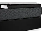 Kevin Charles By Sealy Essential Plush Mattress Set