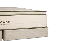 Avocado Green Cushion Firm Mattress Set