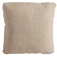 Veronica Khaki 20" Accent Pillow