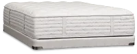 Aireloom Timeless Odyssey Streamline M1 15.5" Plush Mattress