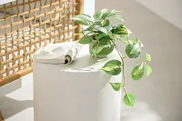 Tai White Round End Table