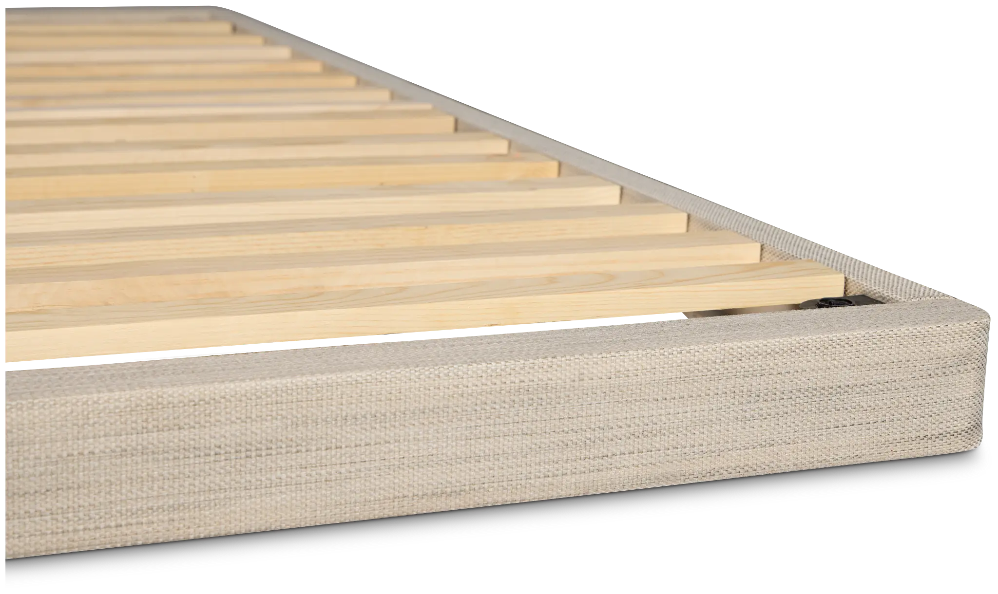 Avocado Green Plush Low-profile Mattress Set Avocado Green Plush Low-profile Mattress Set