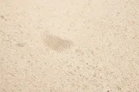 Lukar Gold Square End Table