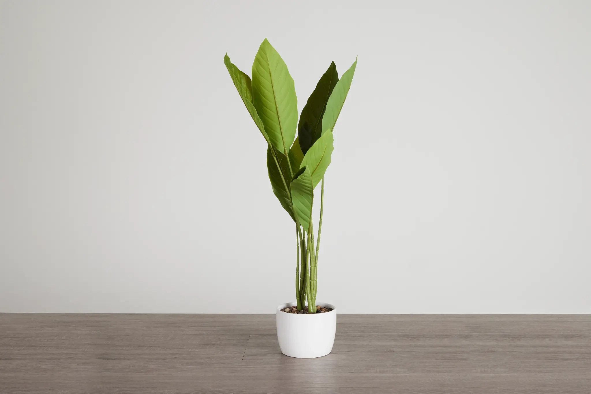 Birds Of Paradise 36" Greenery Birds Of Paradise 36" Greenery