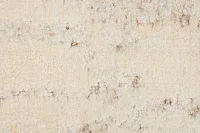 Carrin Ivory 5x8 Area Rug