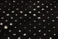 Lazare Black 5x7 Area Rug