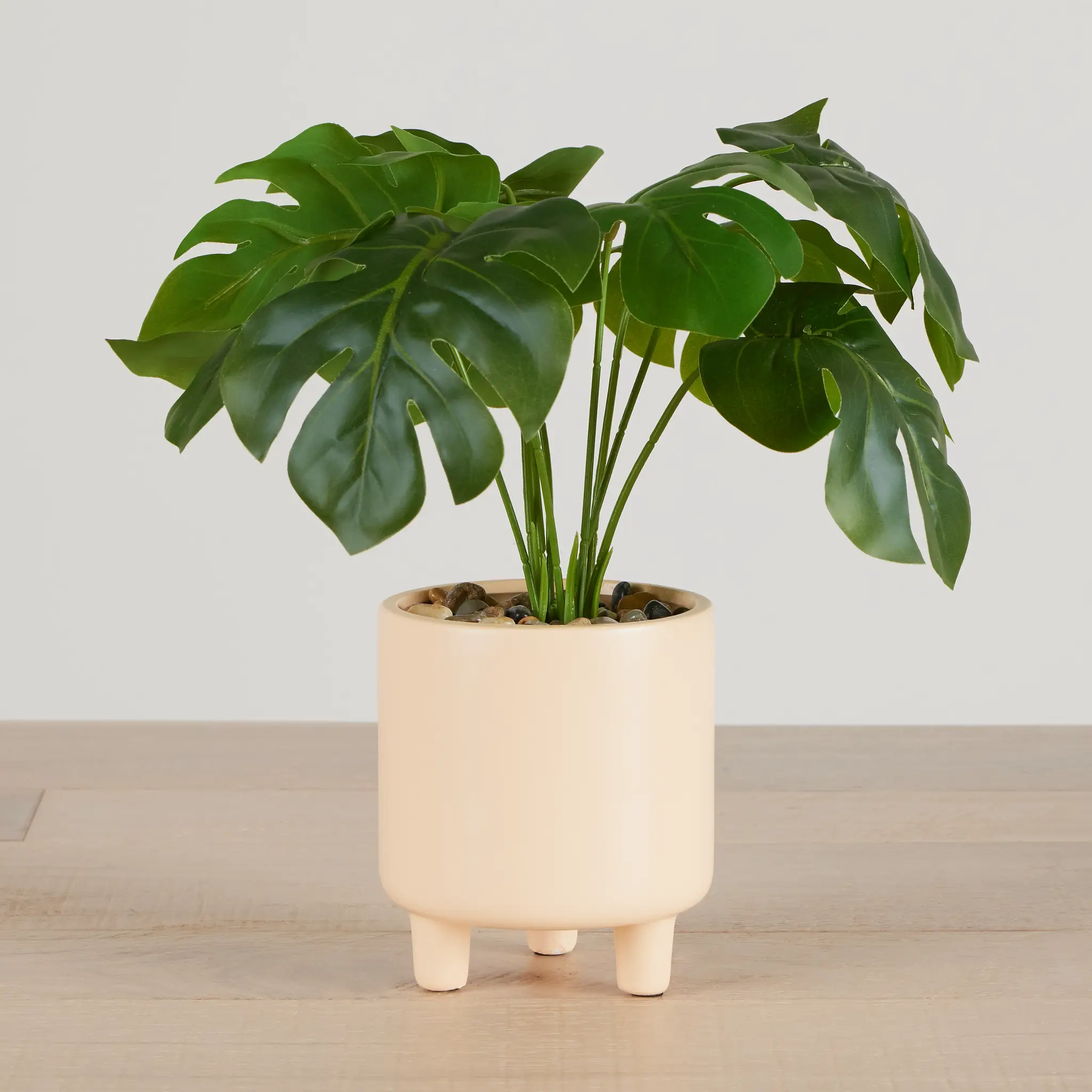 Turtleback Leaf 12" Greenery Turtleback Leaf 12" Greenery