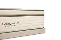 Avocado Green Plush Low-profile Mattress Set