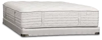 Aireloom Timeless Odyssey Streamline Lux 15.5" Firm Mattress