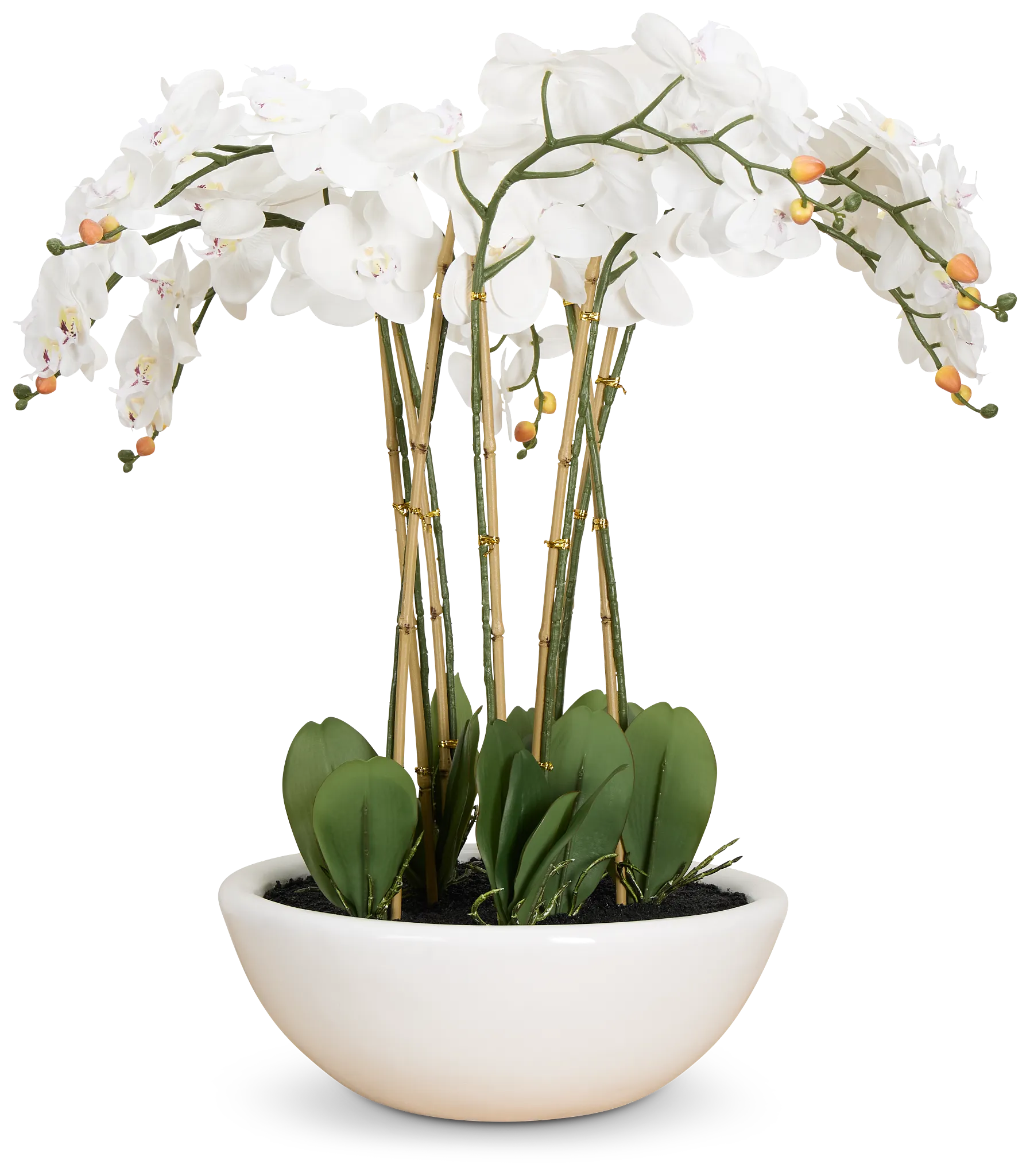 Orchid White 35" Floral Arrangement