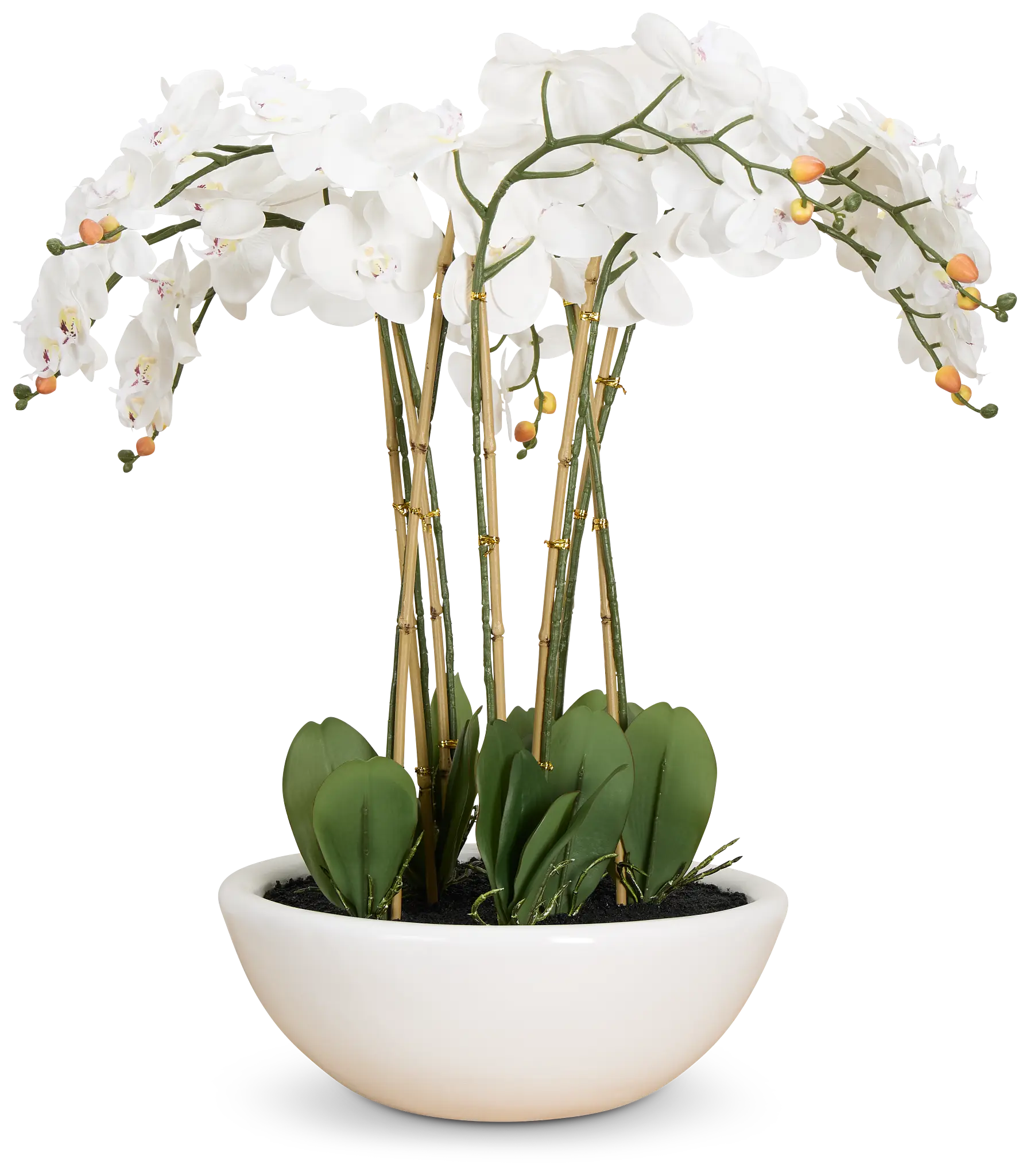 Orchid White 35" Floral Arrangement Orchid White 35" Floral Arrangement