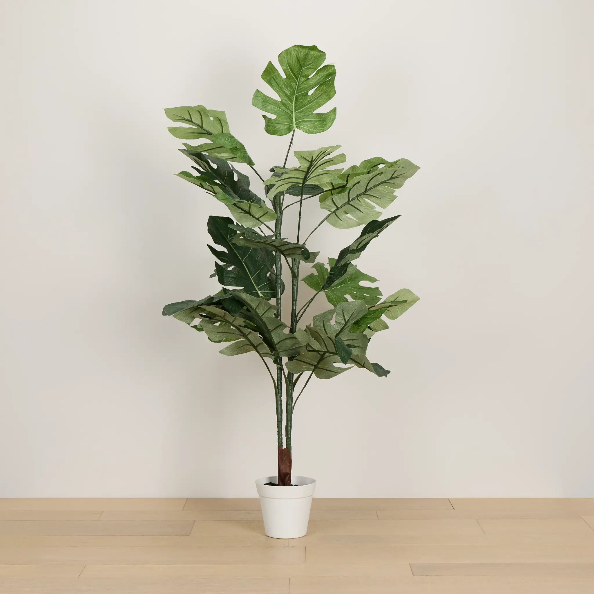 Split Philo 3' Greenery Split Philo 3' Greenery