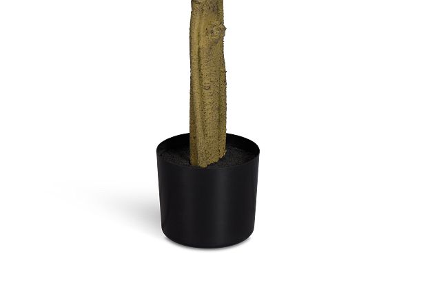 Maeve 6.5' Fiddle Fig Tree