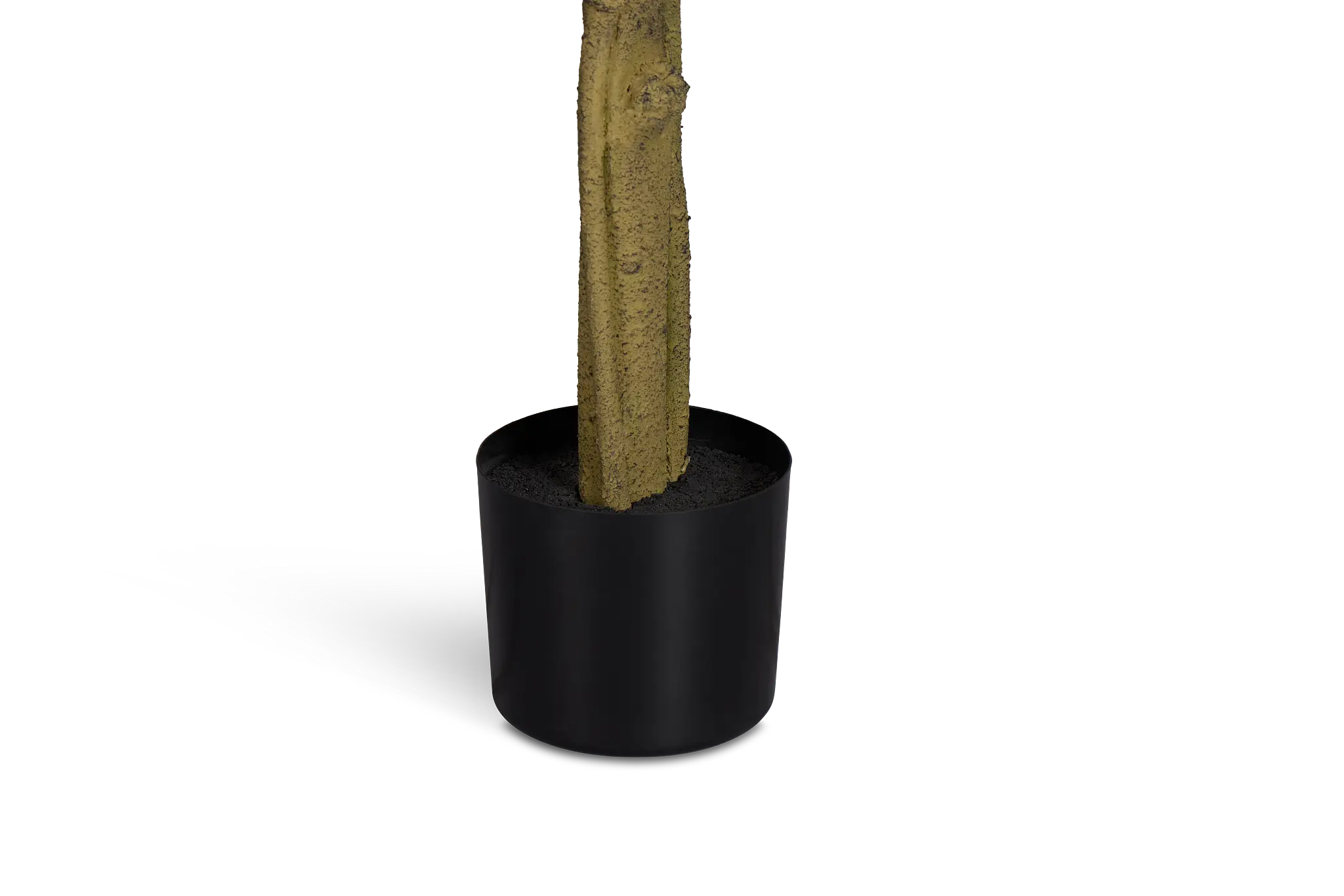 Maeve 6.5' Fiddle Fig Tree Maeve 6.5' Fiddle Fig Tree