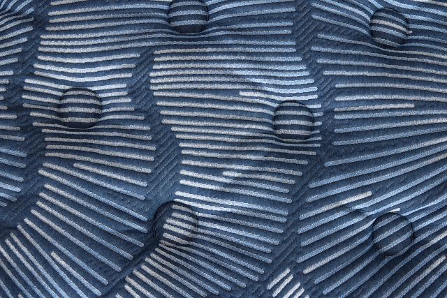 Serta Perfect Sleeper Cobalt Calm Plush Mattress Set