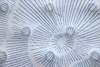 Serta Perfect Sleeper Blue Lagoon Nights Plush Low-profile Mattress Set