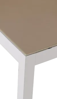 Aventura Champagne 63" Rectangular Table