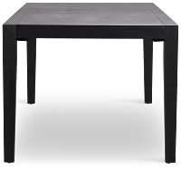 Alden Black Rectangular Table