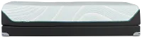 Tempur-pedic Tempur-proadapt Medium Low-profile Mattress Set