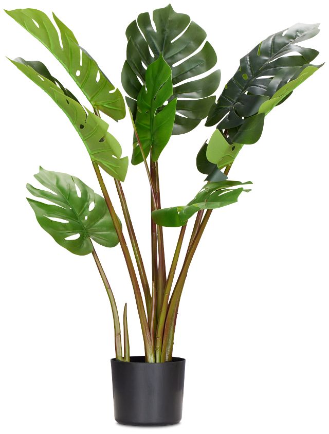 Monstera Green 31" Greenery