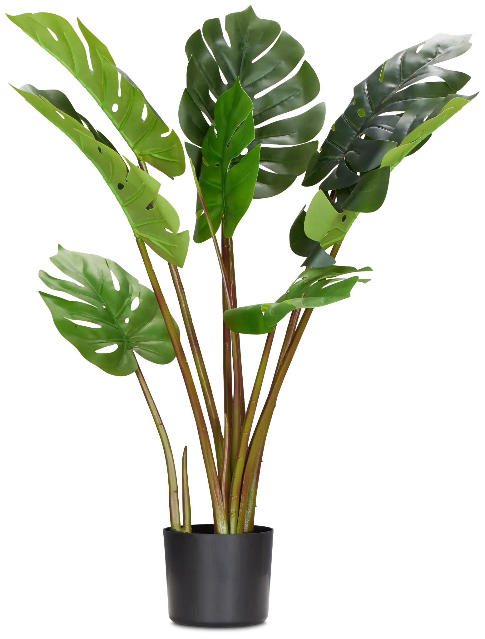 Monstera Green 31" Greenery Monstera Green 31" Greenery