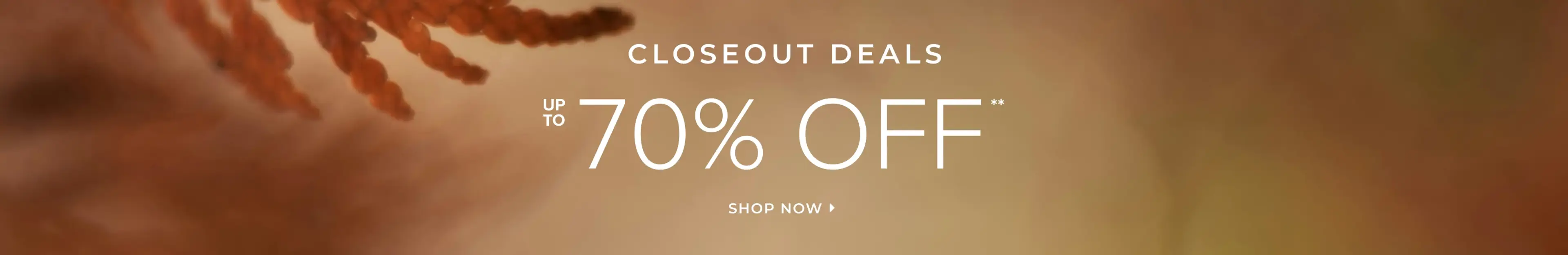 FLASHSALE_CLOSEOUTS_SIB_XLG.jpg