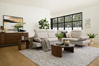 Potter Brown 8x11 Area Rug