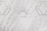 Aireloom Timeless Odyssey Streamline Luxury Firm 14.5" Mattress