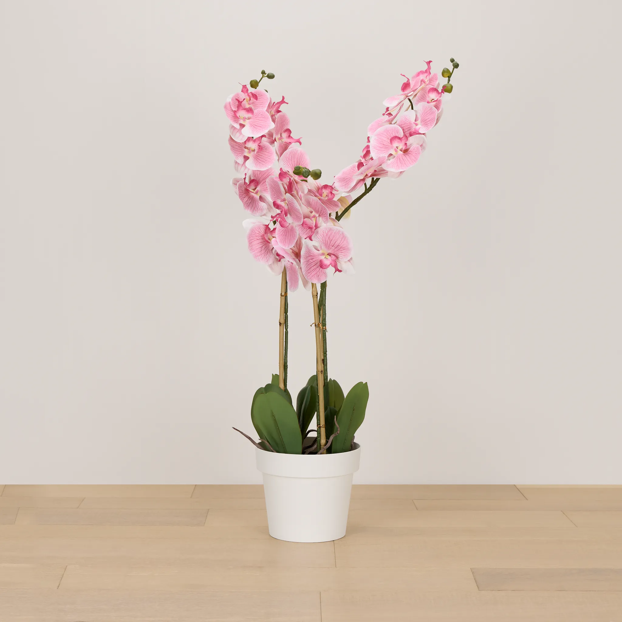 Phalaenopsis 35" Pink Orchid